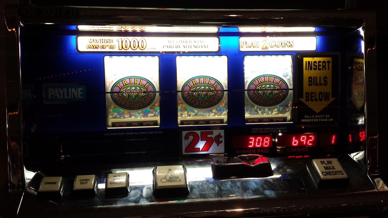 winwin betting