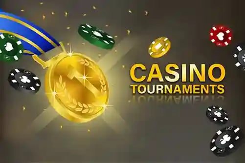 winwin betting